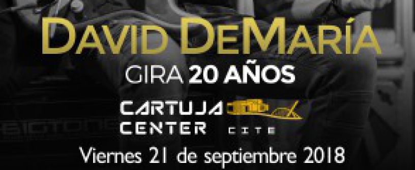 David DeMaría Konzert Sevilla 2018