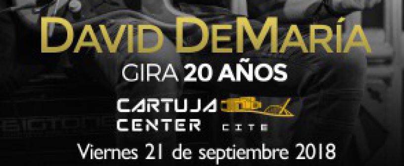 David DeMaría Concierto Sevilla 2018