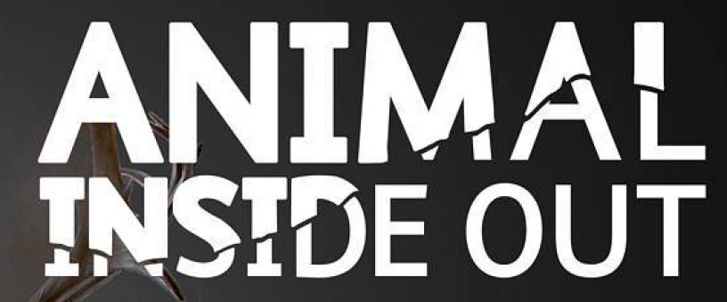 Esposizione Animal Inside Out Siviglia 