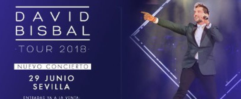 David Bisbal in Concert in Seville David Bisbal in Concert in Seville