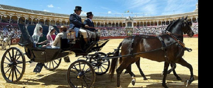 Sevilla, Capital Mundial del Enganche