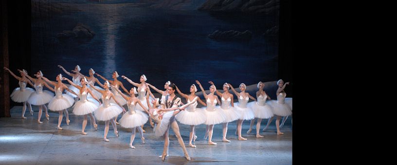 Swan Lake