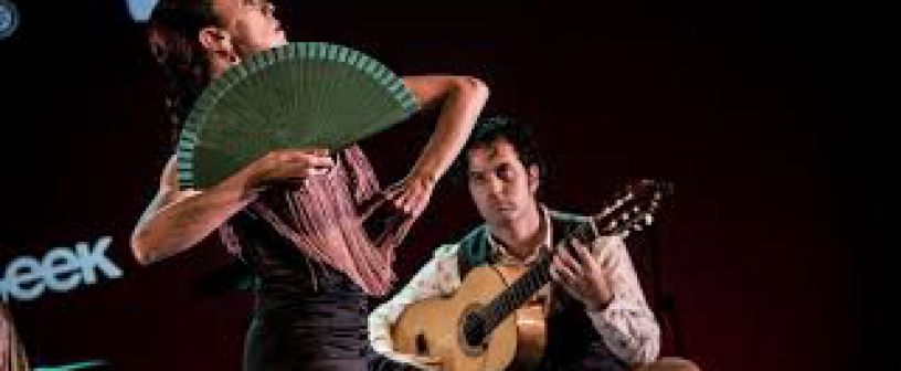 `Delicatessen´. Flamenco en frente de la Giralda.