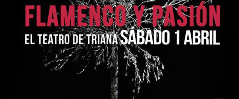 Flamenco und Leidenschaft in Sevilla, in dem Theater von Triana. Flamenco und Leidenschaft in Sevilla, in dem Theater von Triana.