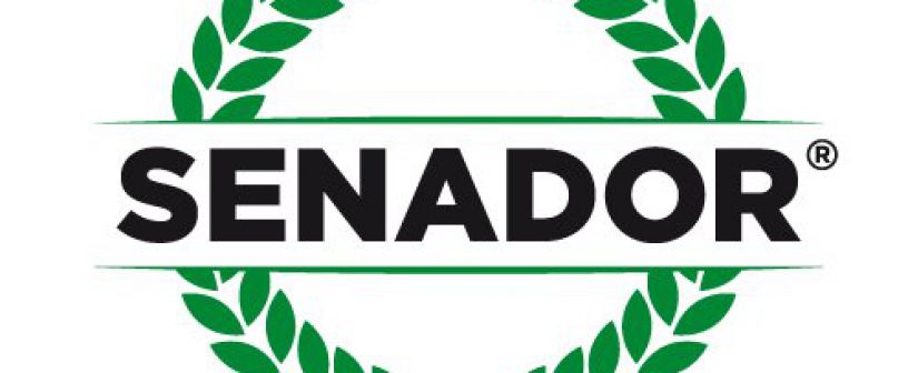 35 aniversario Senador Música 35 aniversario Senador Música
