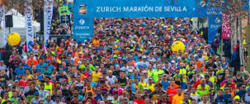 Maratón de Sevilla 2019 Maratón de Sevilla 2019