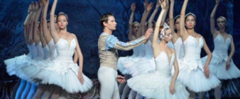The Swans Lake. Seville 2019. The Swans Lake. Seville 2019.