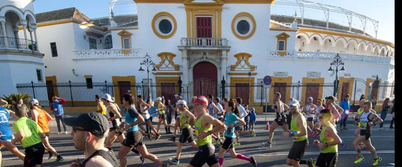 ZURICH MARATHON SEVILLE 2017 ZURICH MARATHON SEVILLE 2017