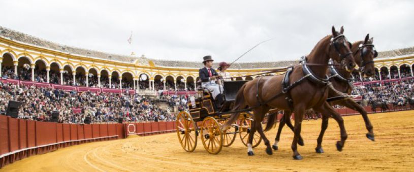 XXXIII Exhibición de Enganches de caballos en Sevilla 2018 XXXIII Exhibición de Enganches de caballos en Sevilla 2018