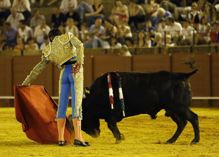 Novilladas 2016-Zyklus der Real Maestranza Kavallerie von Sevilla.