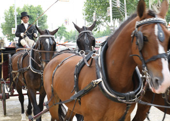 XXXII Exhibition of Hooks