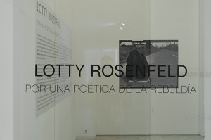 Esposizione di Lotty Rosenfeld a Siviglia