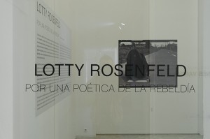 Exposición de Lotty Rosenfeld en Sevilla