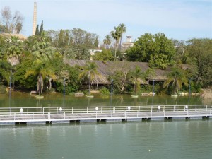 Visits to the American Garden of Seville 