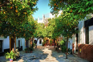 Alla scoperta di Siviglia Alla scoperta di Siviglia
