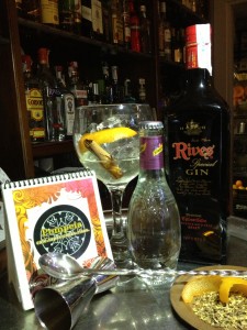 Gin Tonic Route in Seville