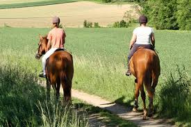 Promenade à cheval à Séville province