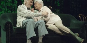 En el estanque dorado en Sevilla