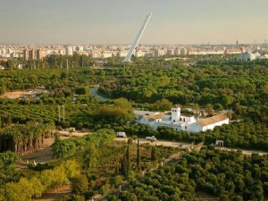 Parque del Alamillo en Sevilla