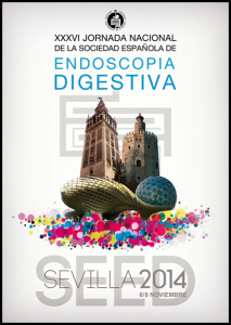 Jornada de la SEED en Sevilla 2014 Jornada de la SEED en Sevilla 2014