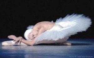 The Swan Lake returns to Seville at Christmas