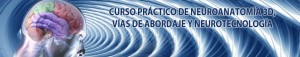 V course in neuroanatomy 3D and Neurotechnology