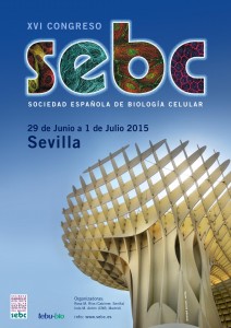 Congreso Sebc Sevilla 
