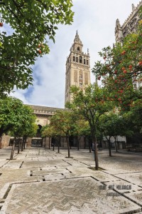 Inmejorable clima en Sevilla esta Semana Santa Inmejorable clima en Sevilla esta Semana Santa
