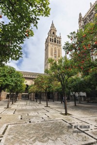 Clima imbattibile in Siviglia questa Settimana Santa